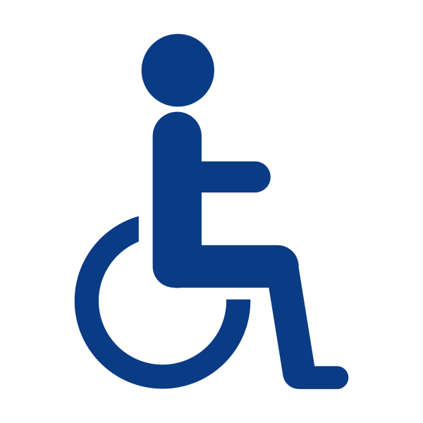 Icon for Accessibility