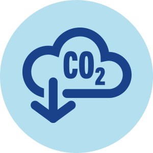 CO2 Icon